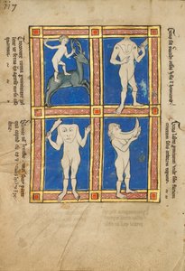 Trococite; A Headless Man with Eyes on His Shoulders; A Headless Man with a Face on His Chest; A Man...